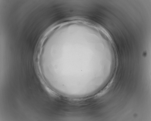 X0000116841149201001291659