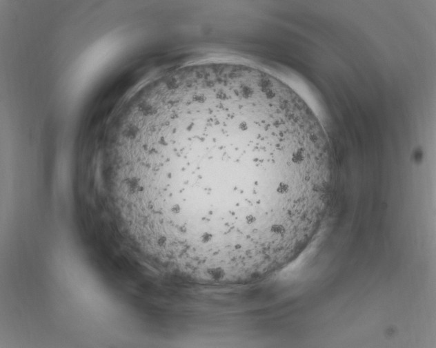 X0000116841150201001291659