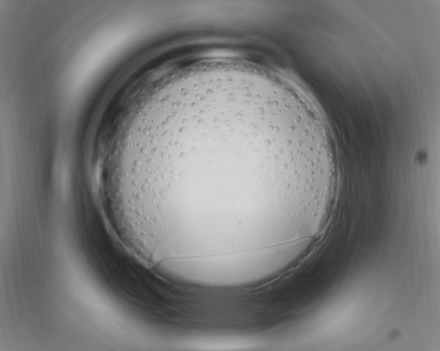 X0000116841151201001291659