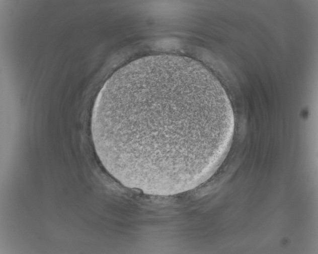 X0000116841153201001291658