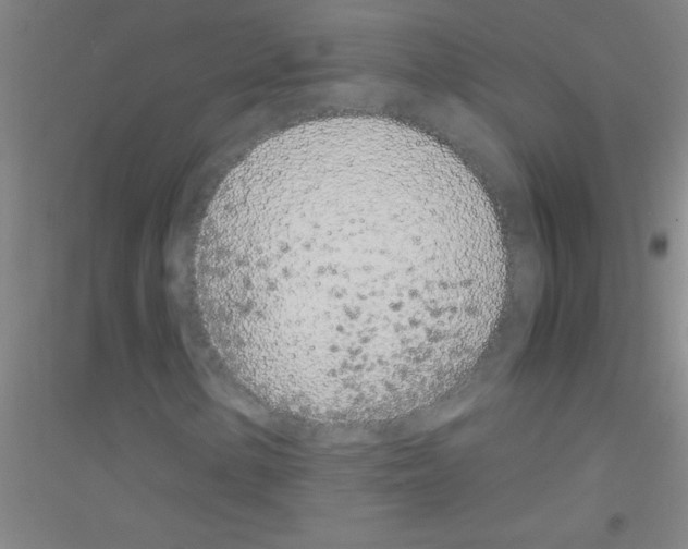 X0000116841154201001291658