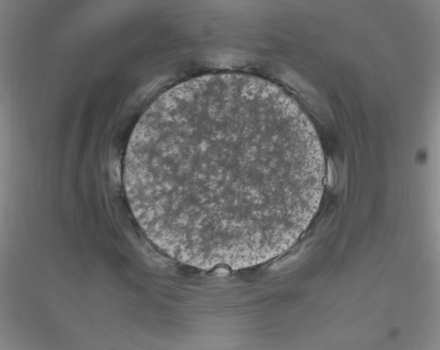 X0000116841155201001291658