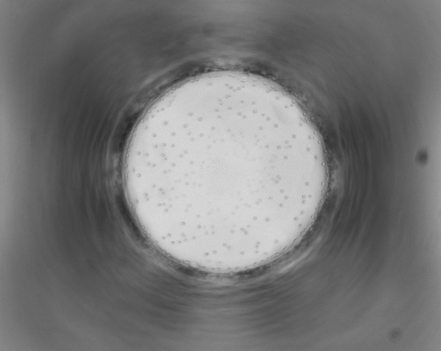 X0000116841156201001291658