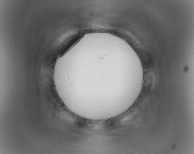 X0000116841157201001291658