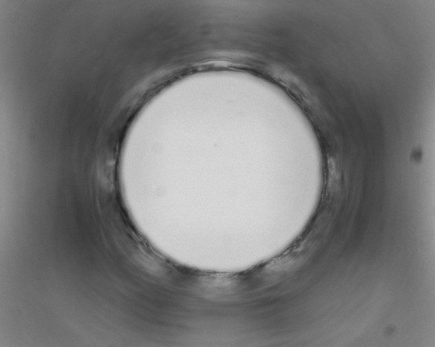 X0000116841158201001291658