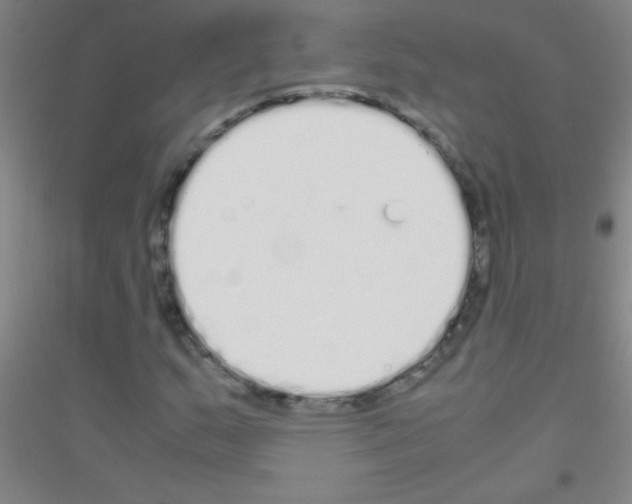 X0000116841159201001291658
