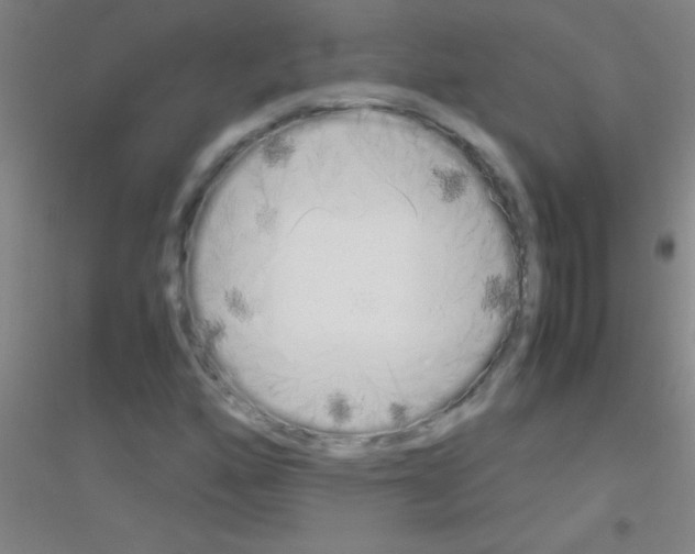 X0000116841160201001291658