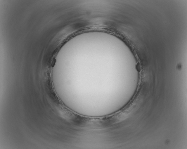 X0000116841161201001291658