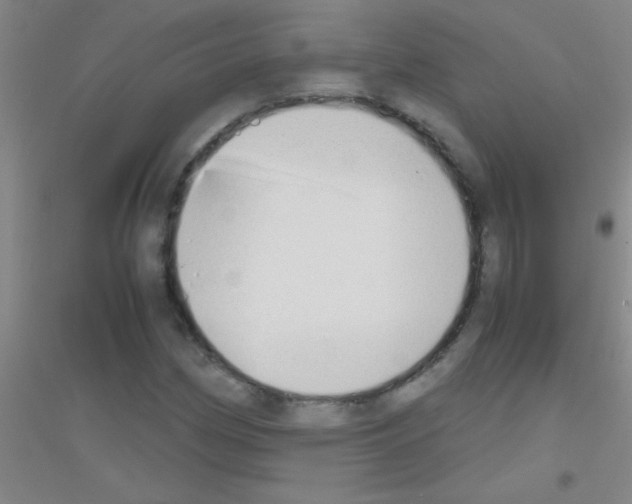 X0000116841162201001291658