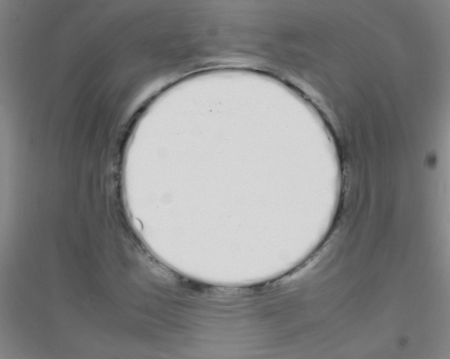 X0000116841163201001291658