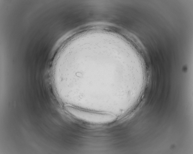 X0000116841164201001291658
