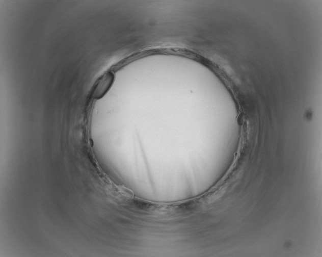 X0000116841165201001291658