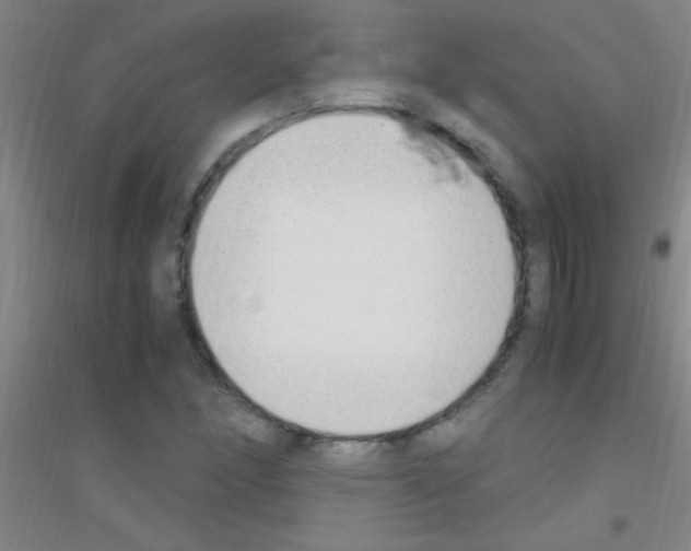 X0000116841166201001291658