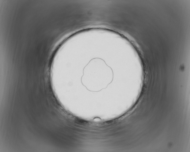 X0000116841167201001291658