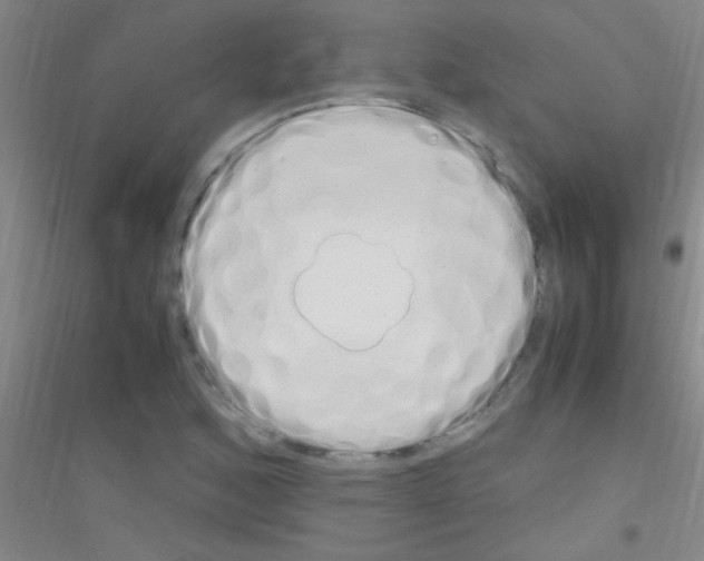 X0000116841168201001291658