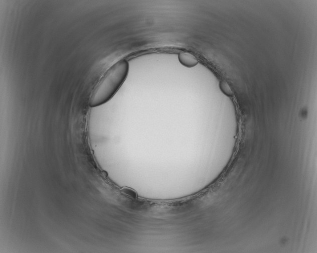 X0000116841169201001291658
