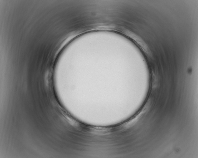 X0000116841170201001291658