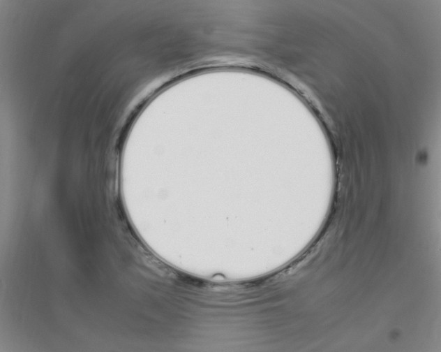 X0000116841171201001291658
