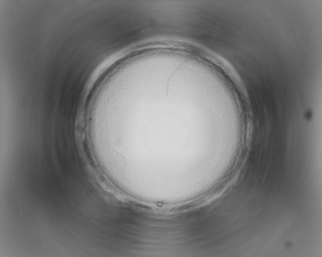 X0000116841172201001291658
