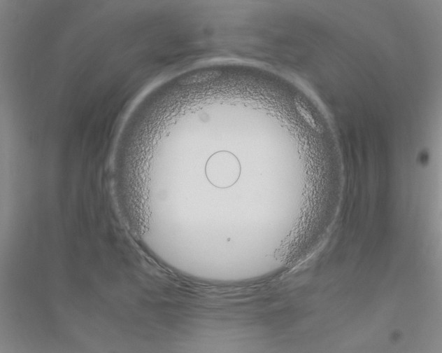 X0000116841173201001291658