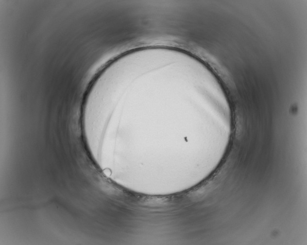 X0000116841174201001291658