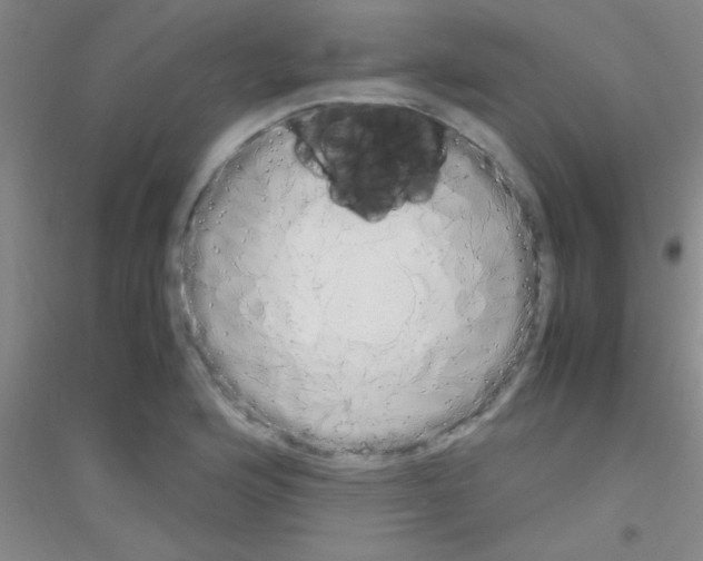 X0000116841176201001291658