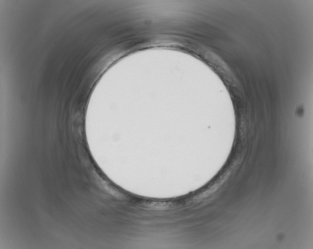 X0000116841177201001291658