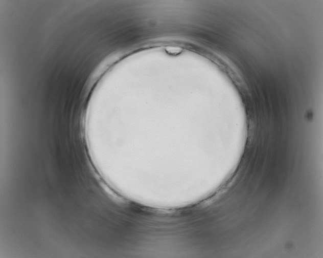 X0000116841180201001291658
