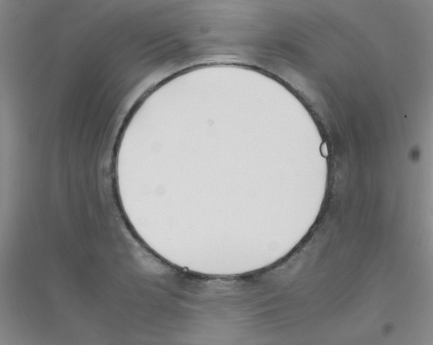 X0000116841181201001291658