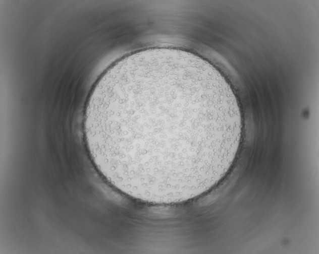 X0000116841182201001291658
