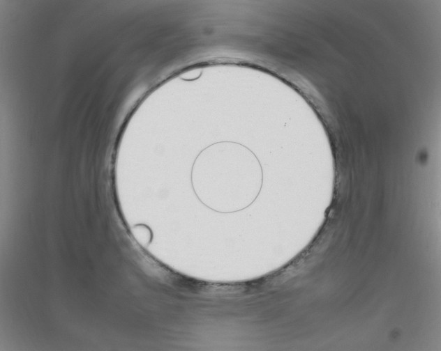 X0000116841183201001291658