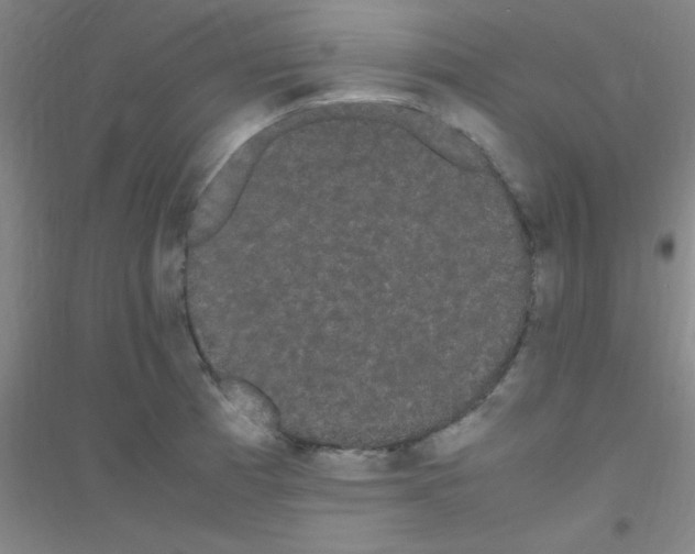 X0000116841185201001291658