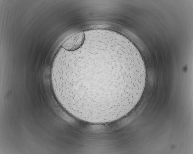 X0000116841186201001291658