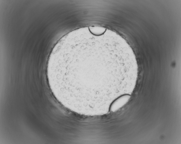 X0000116841187201001291658