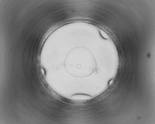 X0000116841188201001291658