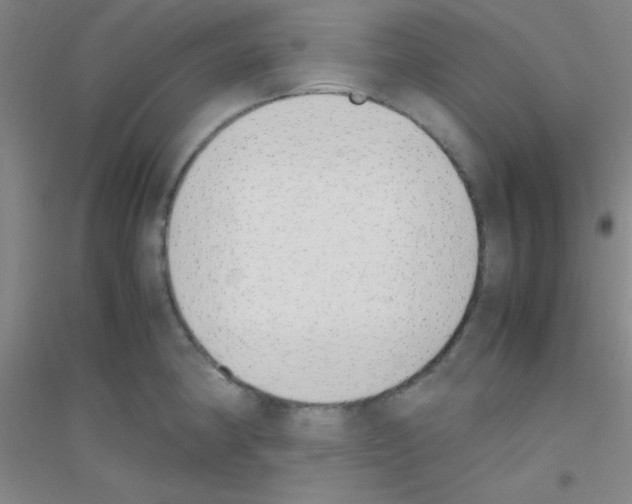 X0000116841190201001291658