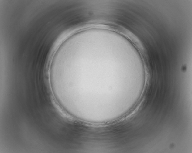 X0000116841192201001291658