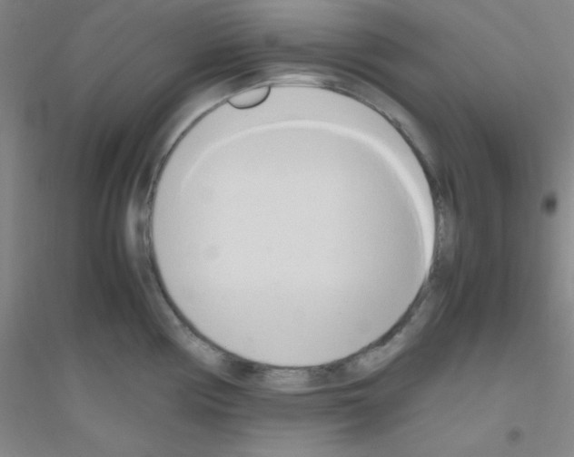 X0000116841194201001291658