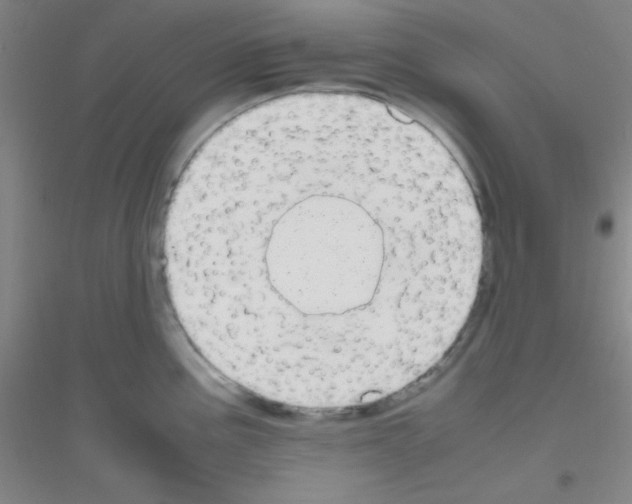 X0000116841195201001291658
