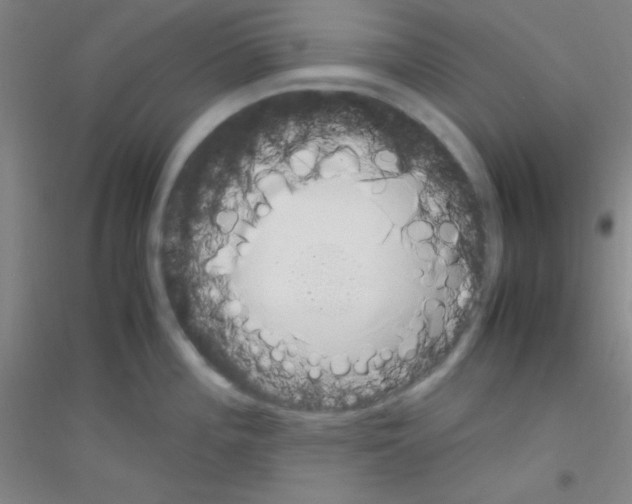 X0000116841196201001291658