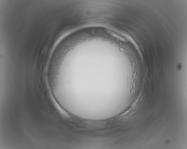X0000116841197201001291658