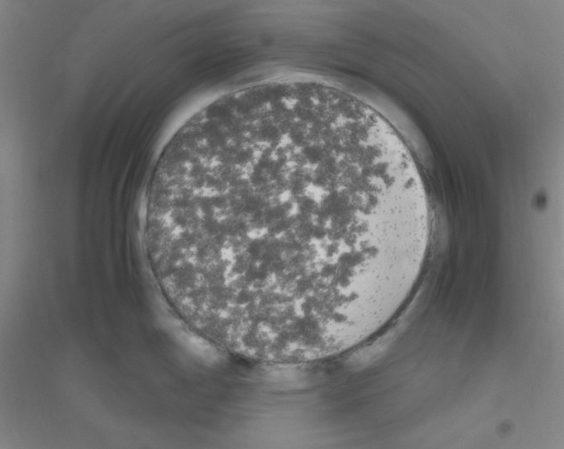 X0000116841198201001291658