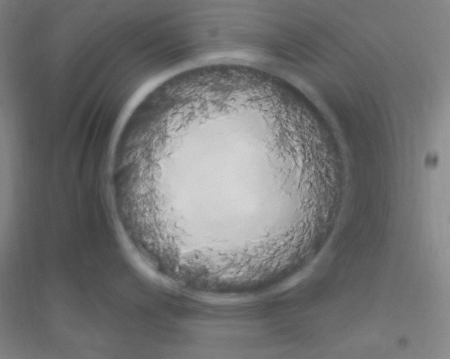 X0000116841200201001291658