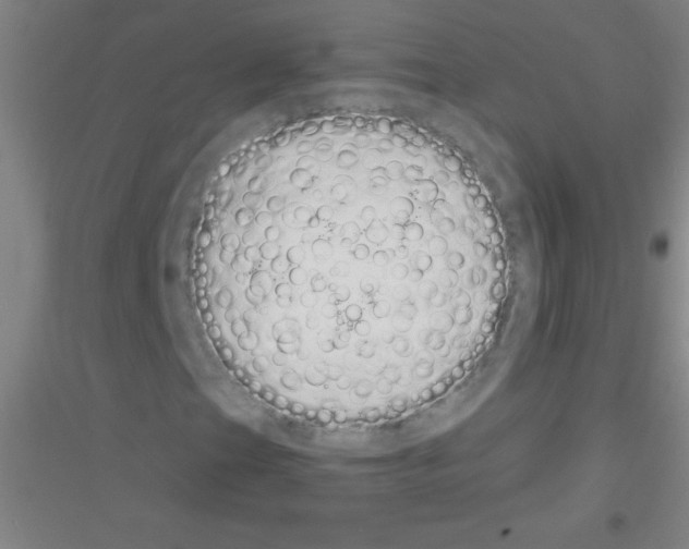 X0000116841201201001291657