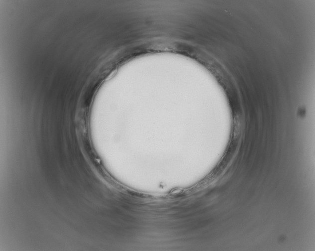 X0000116841202201001291657