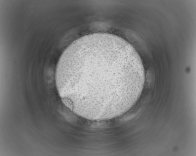 X0000116841203201001291657