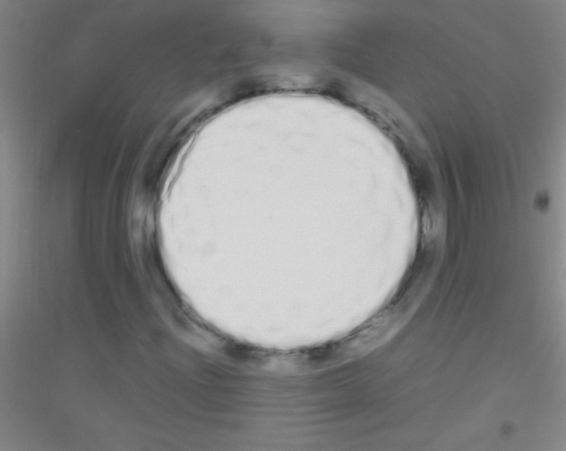 X0000116841204201001291657