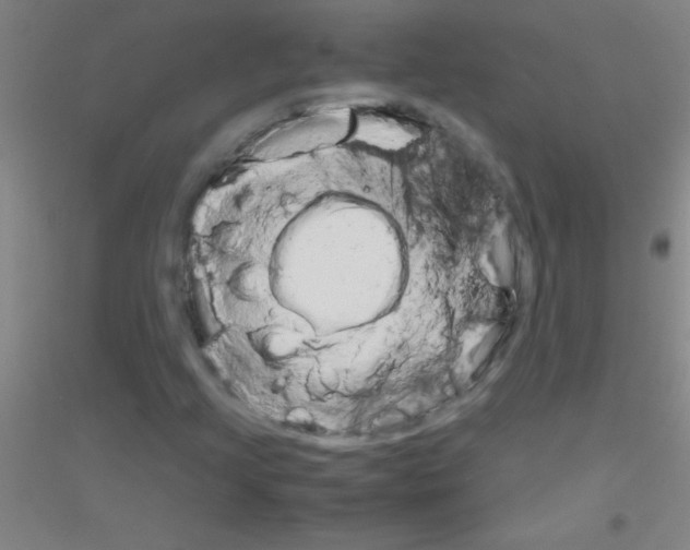 X0000116841205201001291657