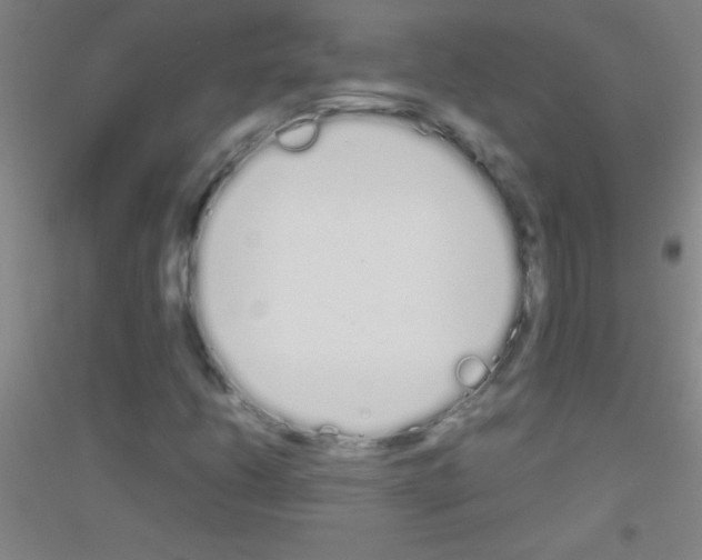 X0000116841206201001291657