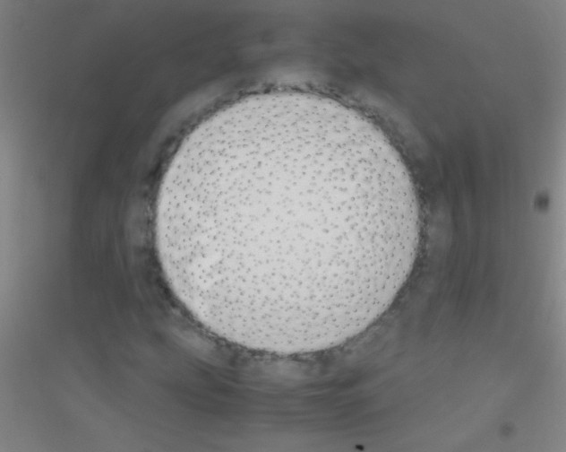X0000116841207201001291657
